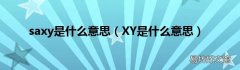 XY是什么意思 saxy是什么意思