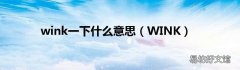 WINK wink一下什么意思