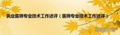 医师专业技术工作述评 执业医师专业技术工作述评