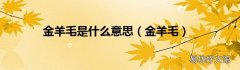金羊毛 金羊毛是什么意思