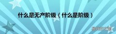 什么是阶级 什么是无产阶级