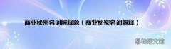 商业秘密名词解释 商业秘密名词解释题