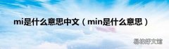 min是什么意思 mi是什么意思中文