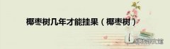 椰枣树 椰枣树几年才能挂果