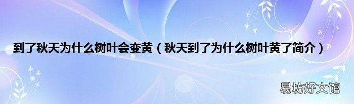 秋天到了为什么树叶黄了简介 到了秋天为什么树叶会变黄