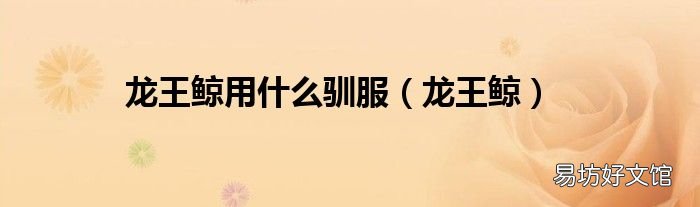 龙王鲸 龙王鲸用什么驯服