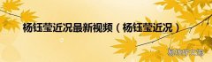 杨钰莹近况 杨钰莹近况最新视频