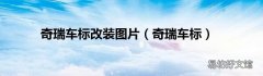 奇瑞车标 奇瑞车标改装图片