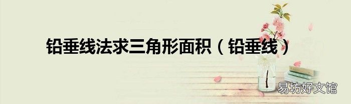 铅垂线 铅垂线法求三角形面积
