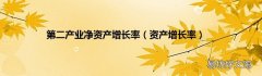 资产增长率 第二产业净资产增长率
