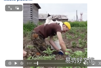 这个应用程序是潜伏在Reddit上的最佳方式