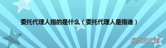 委托代理人是指谁 委托代理人指的是什么