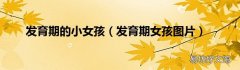发育期女孩图片 发育期的小女孩