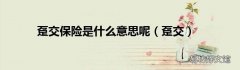 趸交 趸交保险是什么意思呢