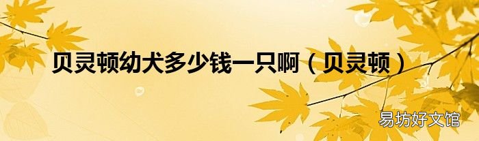 贝灵顿 贝灵顿幼犬多少钱一只啊