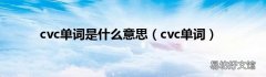 cvc单词 cvc单词是什么意思