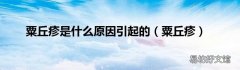 粟丘疹 粟丘疹是什么原因引起的