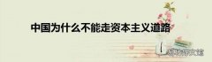 中国为什么不能走资本主义道路