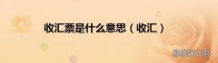 收汇 收汇票是什么意思