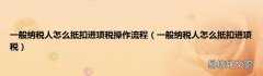 一般纳税人怎么抵扣进项税 一般纳税人怎么抵扣进项税操作流程