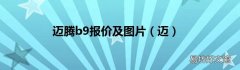 迈 迈腾b9报价及图片