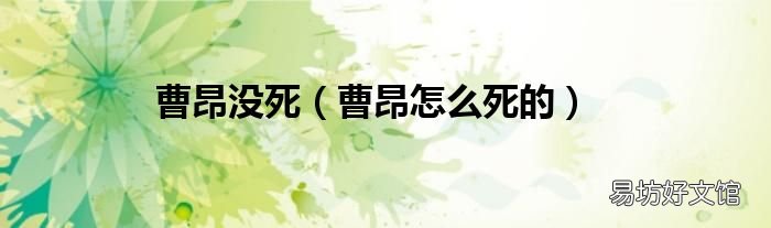 曹昂怎么死的 曹昂没死