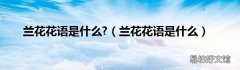 兰花花语是什么 兰花花语是什么?