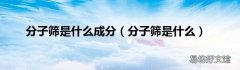 分子筛是什么 分子筛是什么成分