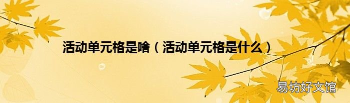 活动单元格是什么 活动单元格是啥