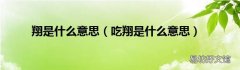吃翔是什么意思 翔是什么意思