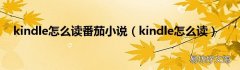 kindle怎么读 kindle怎么读番茄小说