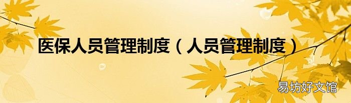 人员管理制度 医保人员管理制度