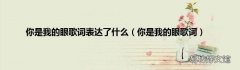 你是我的眼歌词 你是我的眼歌词表达了什么