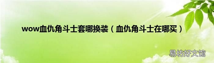 血仇角斗士在哪买 wow血仇角斗士套哪换装