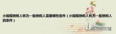 小规模纳税人转为一般纳税人的条件 小规模纳税人转为一般纳税人需要哪些条件