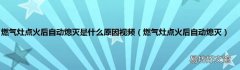燃气灶点火后自动熄灭 燃气灶点火后自动熄灭是什么原因视频