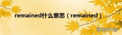 remained remained什么意思