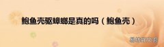 鲍鱼壳 鲍鱼壳驱蟑螂是真的吗