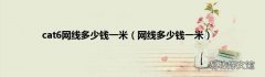网线多少钱一米 cat6网线多少钱一米