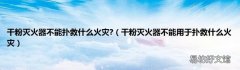 干粉灭火器不能用于扑救什么火灾 干粉灭火器不能扑救什么火灾?