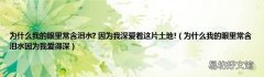 为什么我的眼里常含泪水因为我爱得深 为什么我的眼里常含泪水? 因为我深爱着这片土地!