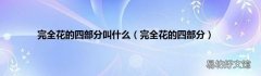完全花的四部分 完全花的四部分叫什么