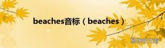 beaches beaches音标