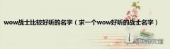求一个wow好听的战士名字 wow战士比较好听的名字