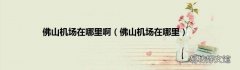 佛山机场在哪里 佛山机场在哪里啊