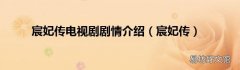 宸妃传 宸妃传电视剧剧情介绍