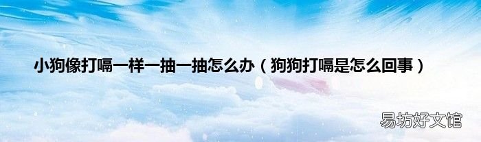 狗狗打嗝是怎么回事 小狗像打嗝一样一抽一抽怎么办