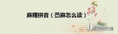 苎麻怎么读 麻糬拼音