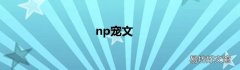 np宠文