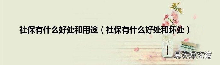 社保有什么好处和坏处 社保有什么好处和用途